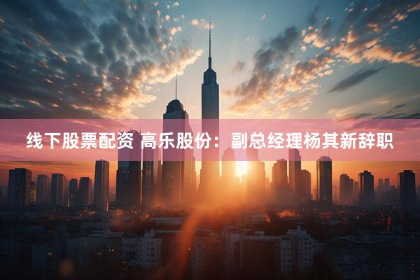 线下股票配资 高乐股份：副总经理杨其新辞职