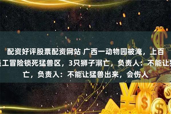 配资好评股票配资网站 广西一动物园被淹，上百只动物被冲走，员工冒险锁死猛兽区，3只狮子溺亡，负责人：不能让猛兽出来，会伤人